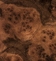 Burr Walnut