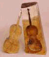 3-D CELLO