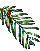 YEW LEAF