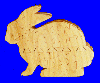 3-D RABBIT