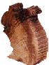3-DIMENSIONAL