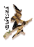 WEBWITCH