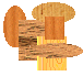WOODS